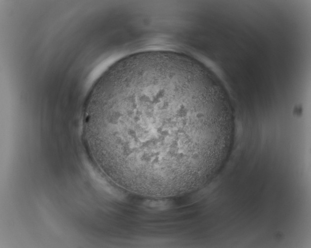 X0000114171415200910221640