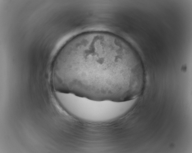 X0000114171416200910221640