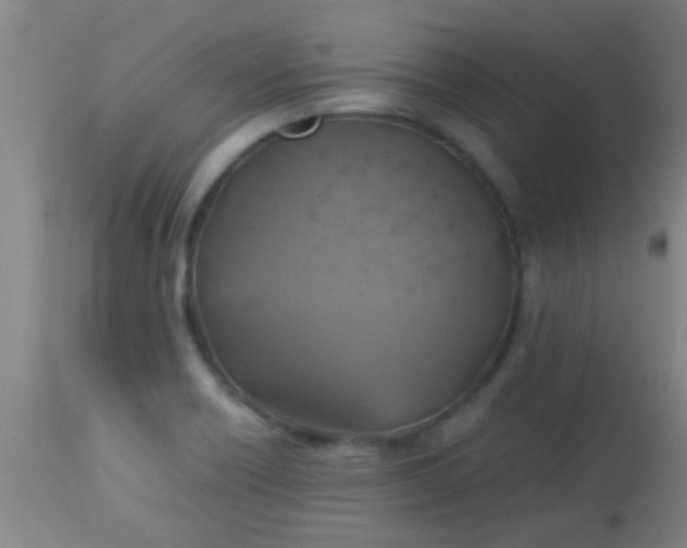 X0000114171418200910221640