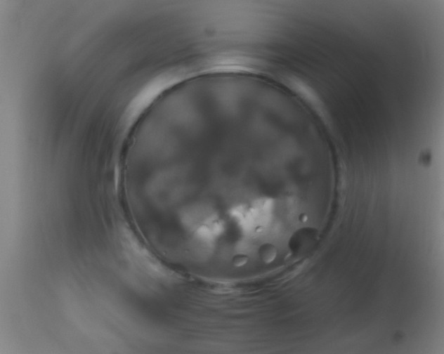 X0000114171419200910221640