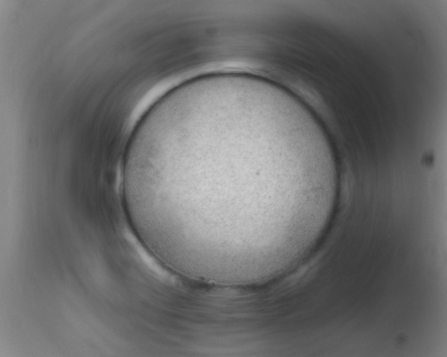 X0000114171420200910221640