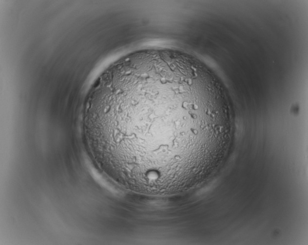 X0000114171421200910221640