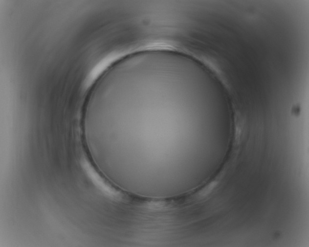 X0000114171422200910221640