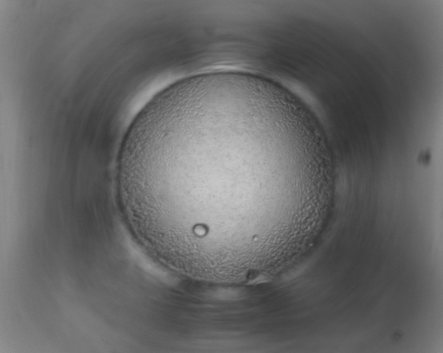 X0000114171423200910221640