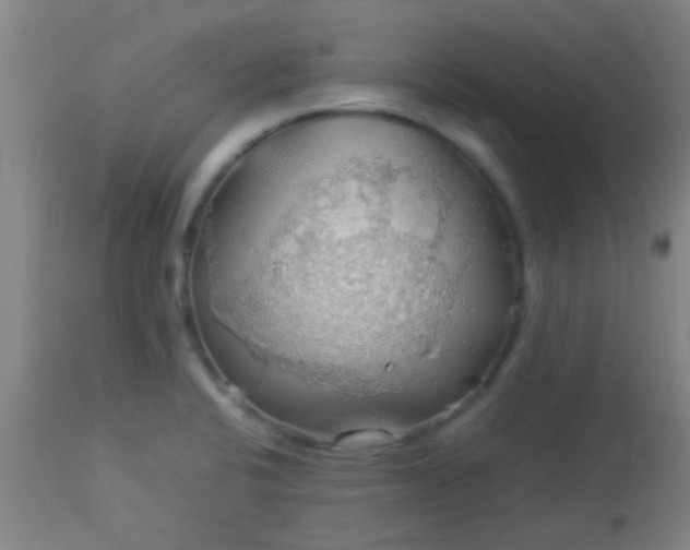 X0000114171424200910221640