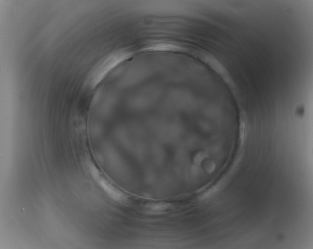 X0000114171425200910221640