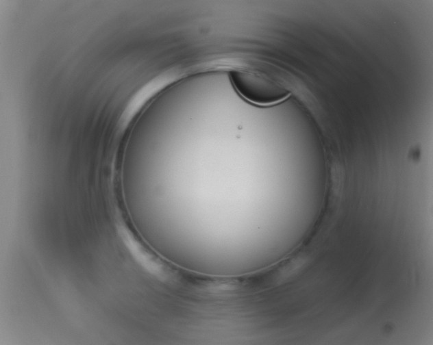 X0000114171426200910221640