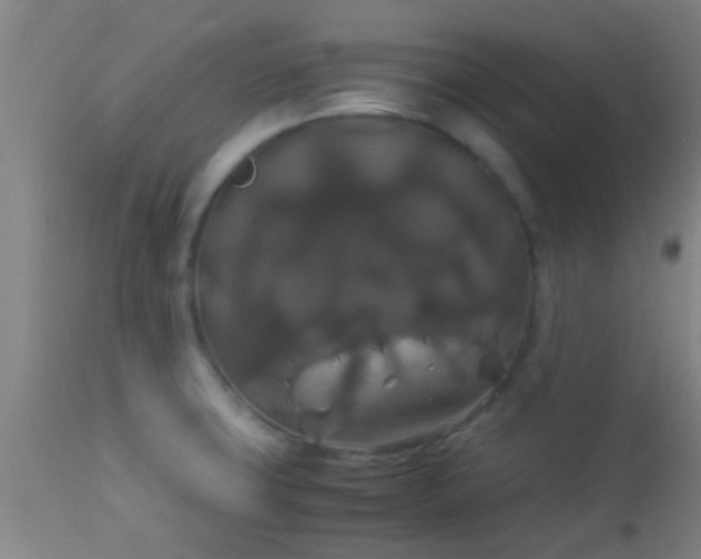 X0000114171427200910221640