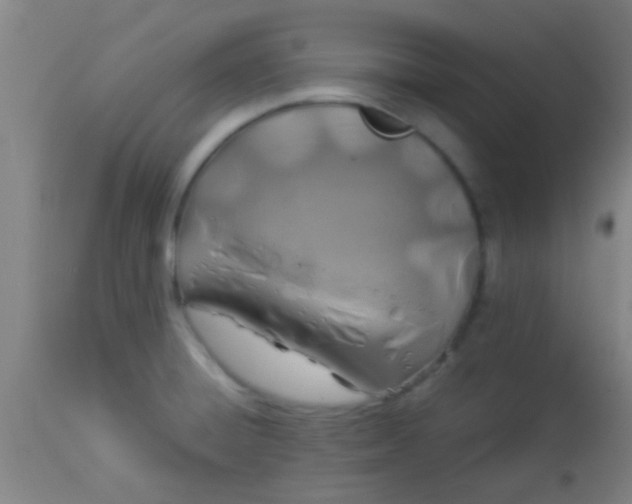 X0000114171428200910221640