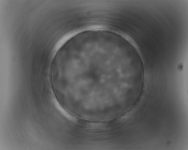 X0000114171429200910221640