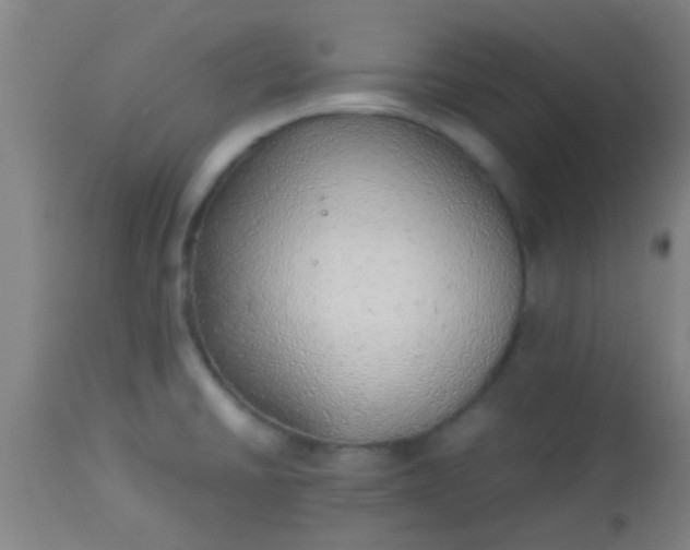 X0000114171430200910221640