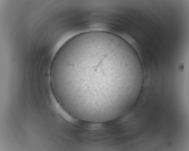 X0000114171431200910221640