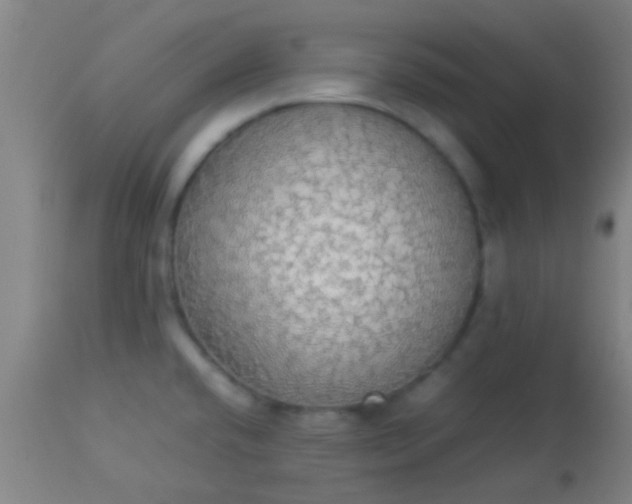 X0000114171432200910221640