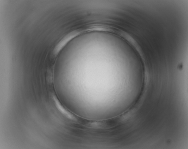 X0000114171433200910221641