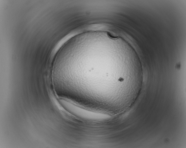 X0000114171434200910221641