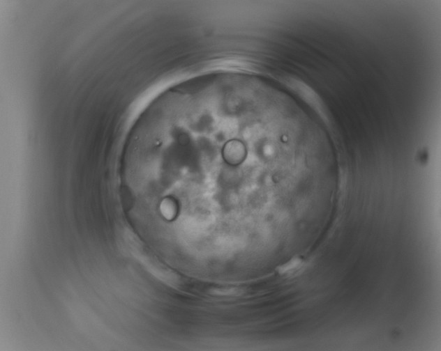 X0000114171435200910221641