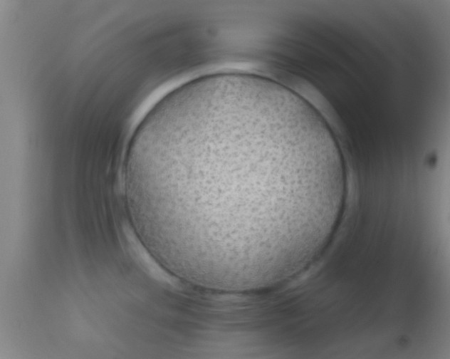 X0000114171436200910221641