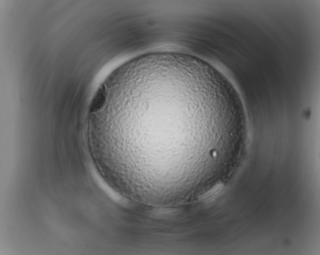 X0000114171437200910221641