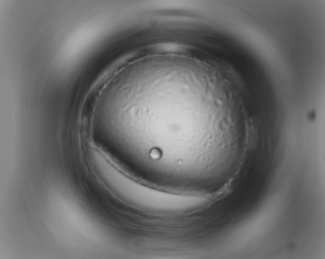 X0000114171438200910221641