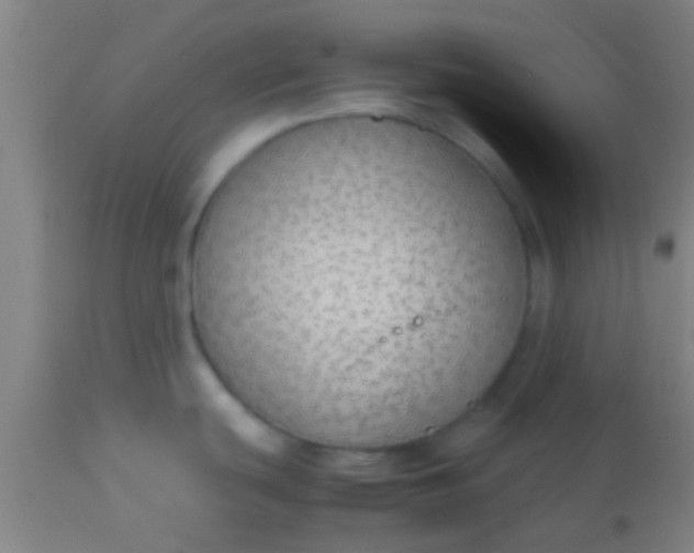 X0000114171439200910221641