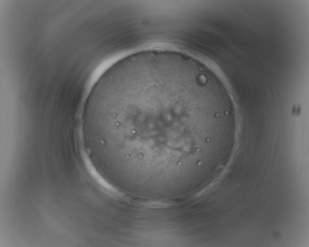 X0000114171440200910221641