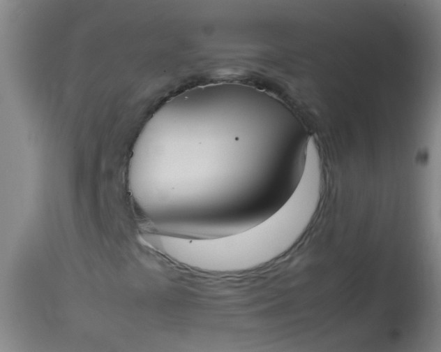 X0000114171441200910221640