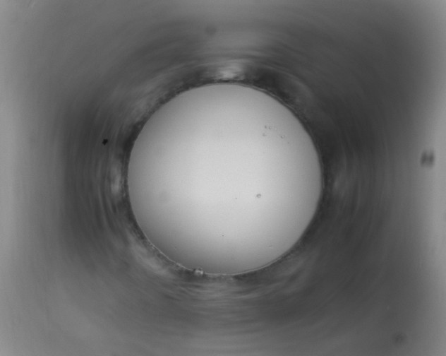 X0000114171442200910221640