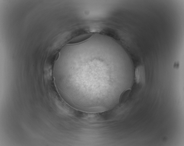 X0000114171443200910221640