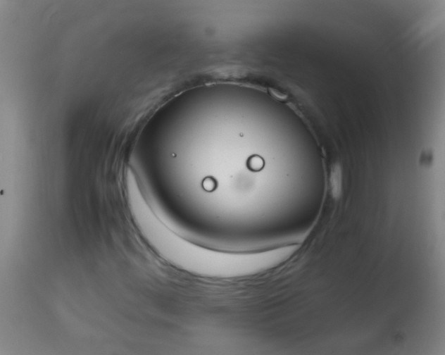 X0000114171444200910221640