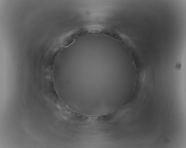 X0000114171445200910221640