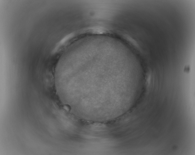 X0000114171446200910221640