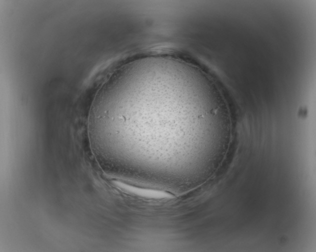 X0000114171447200910221640