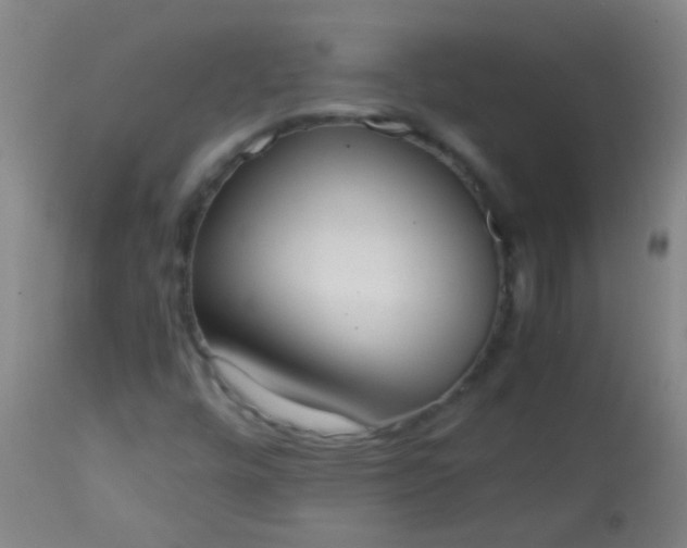 X0000114171448200910221640