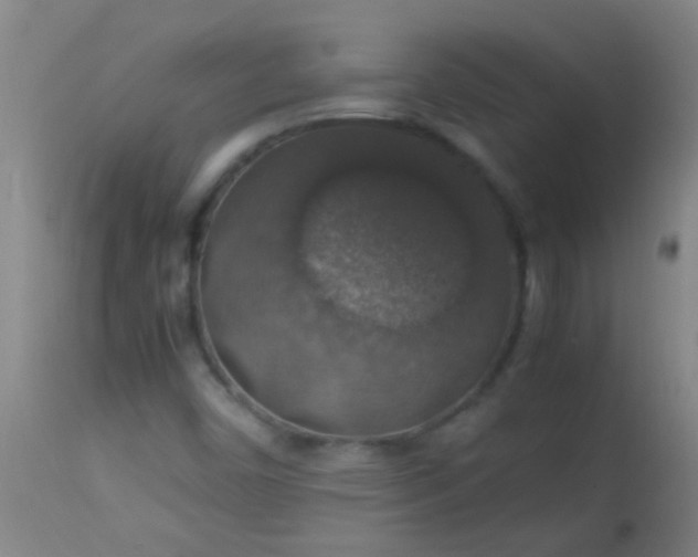 X0000114171450200910221640