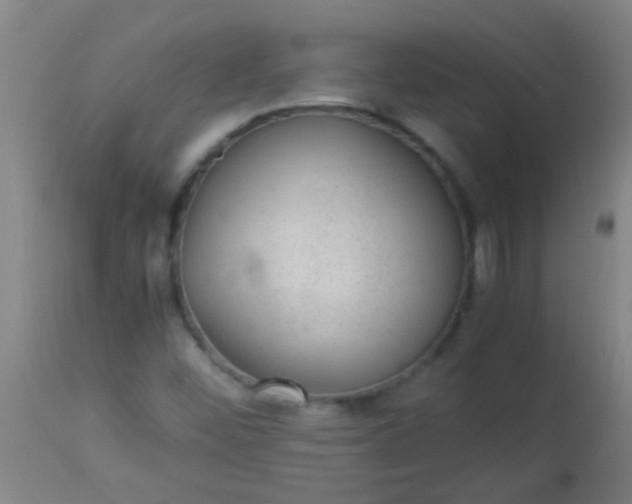 X0000114171452200910221640