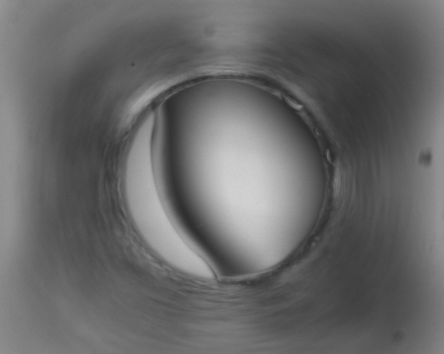 X0000114171453200910221640