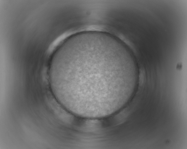 X0000114171454200910221640