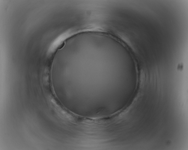 X0000114171455200910221640