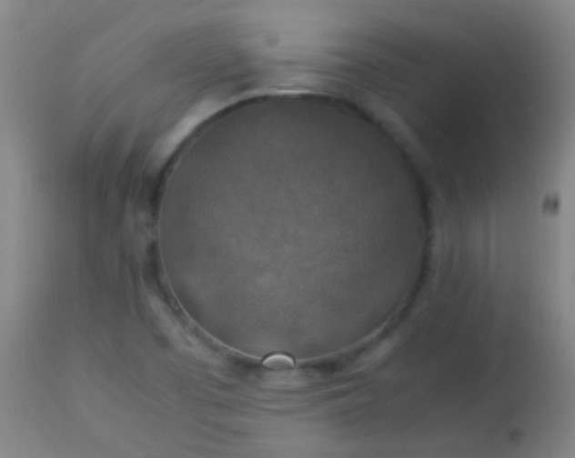 X0000114171457200910221640