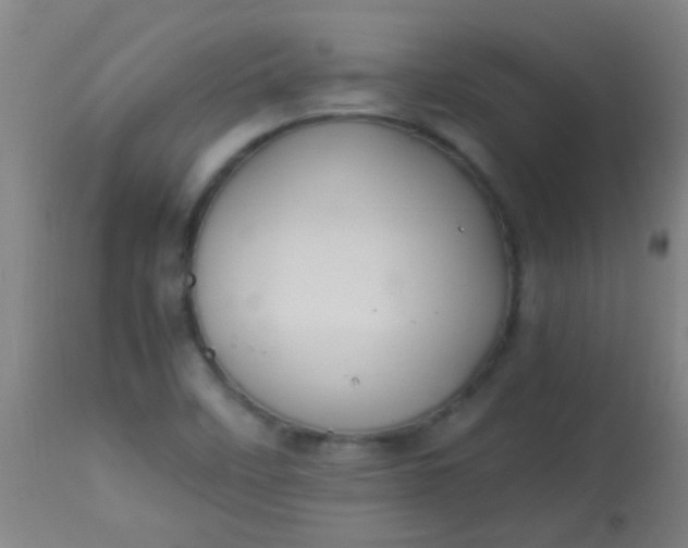 X0000114171458200910221640