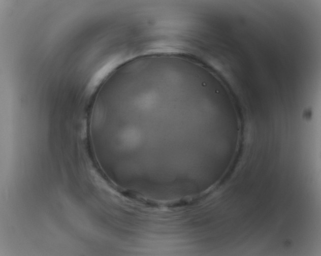 X0000114171459200910221640