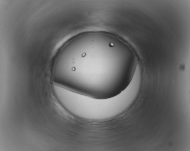 X0000114171460200910221640