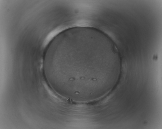 X0000114171461200910221640