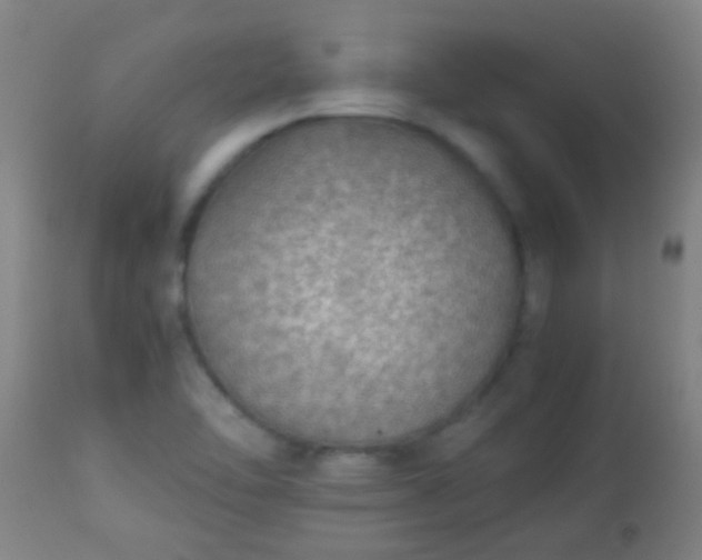 X0000114171462200910221640