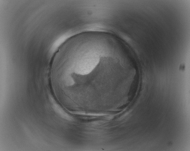 X0000114171463200910221640