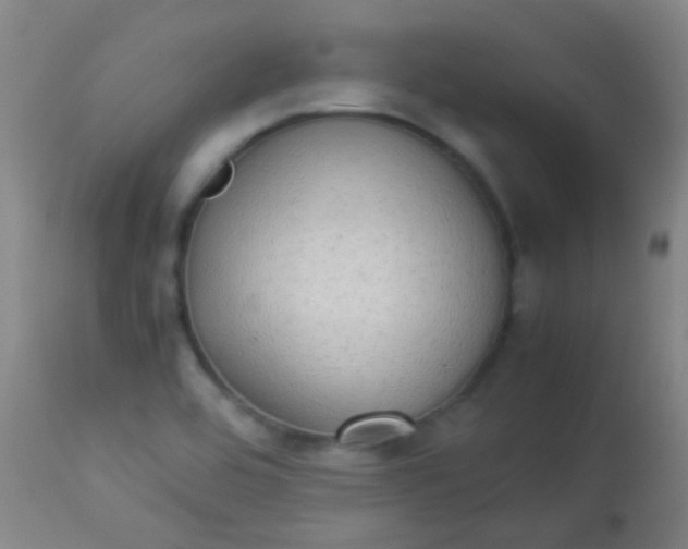 X0000114171464200910221640