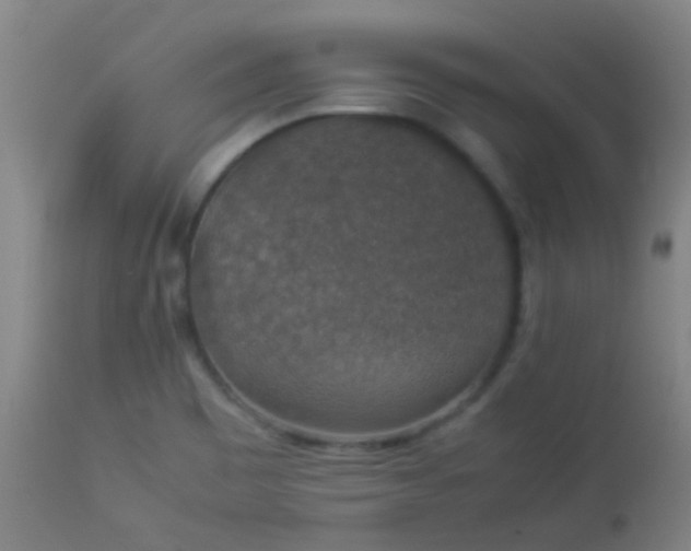 X0000114171465200910221640