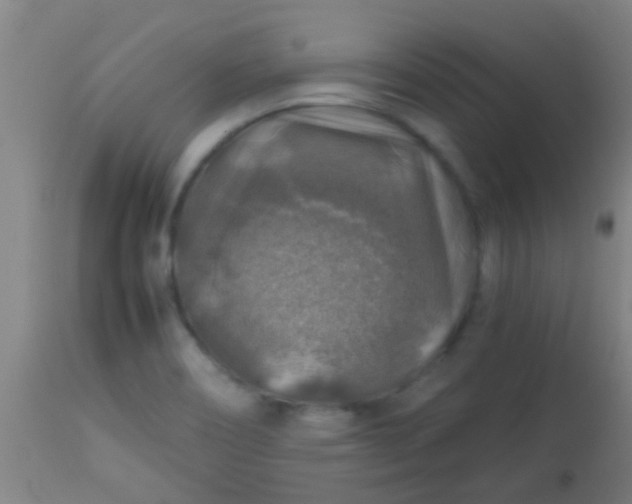 X0000114171466200910221640