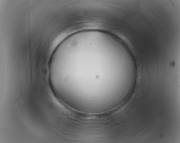 X0000114171467200910221640