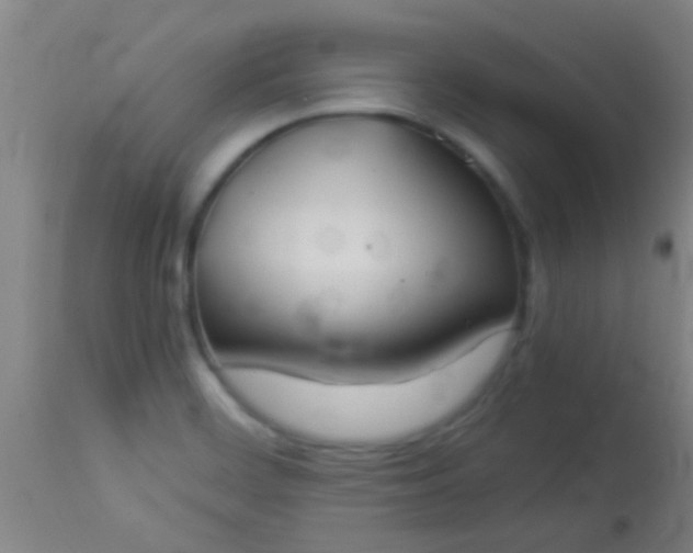 X0000114171468200910221640